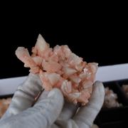 Natural Orange Stilbite with Heulandite Crystal Lot – 18 PCS – Mineral Specimens from India