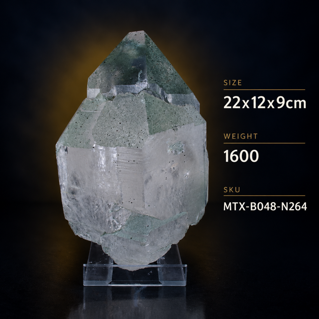 Natural Green Chlorite Himalayan Quartz Crystal – Mineral Specimen from India