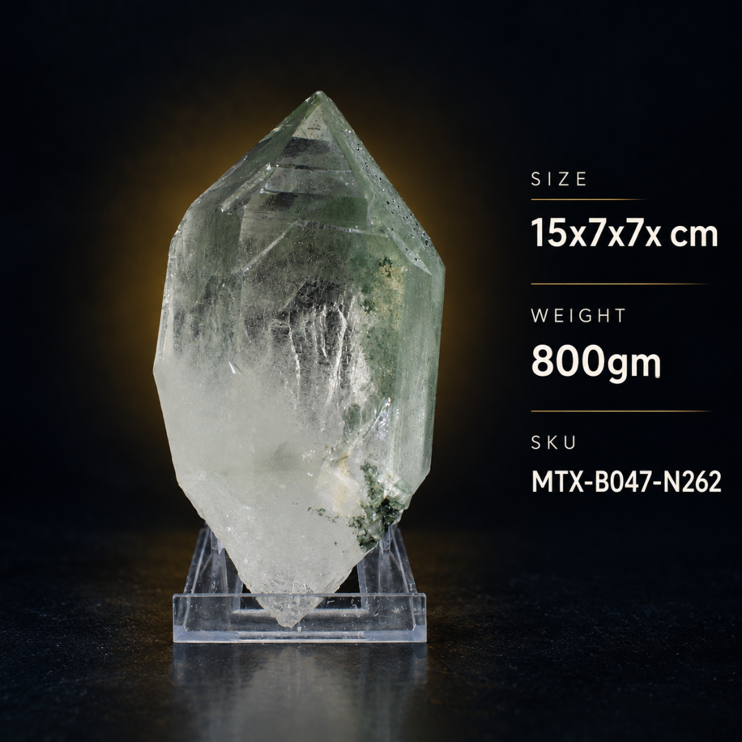 Natural Green Chlorite Himalayan Quartz Crystal – Mineral Specimen from India