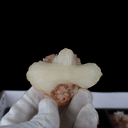 Natural Orange Stilbite with Heulandite Crystal Lot – 18 PCS – Mineral Specimens from India