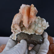 Natural Orange Stilbite with Heulandite Crystal Lot – 11 PCS – Mineral Specimens from India