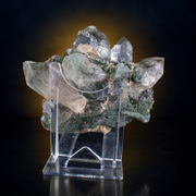 Natural Green Chlorite Himalayan Quartz Crystal – Mineral Specimen from India