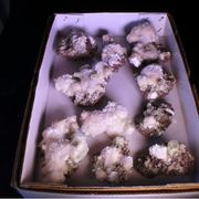 Natural Green Apophyllite with Heulandite Matrix & Scolecite – 10 Pieces Lot  from India