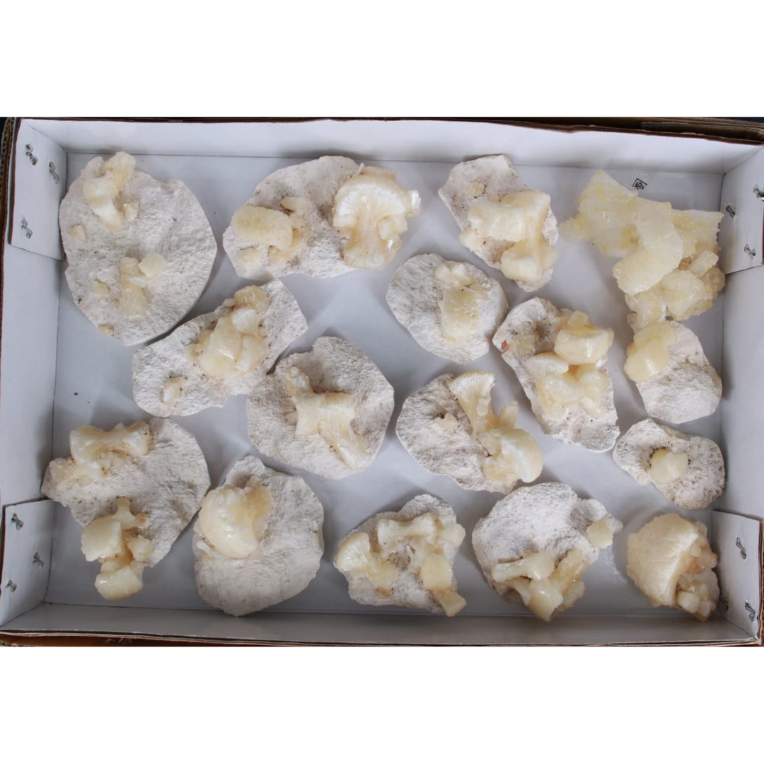 Natural Stilbite with Heulandite Crystal Lot – 16 PCS – Mineral Specimens from India