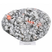 Chalcedony Botryoidal Aggregate on Matrix — India | 370 g | 13 × 10 × 2 cm