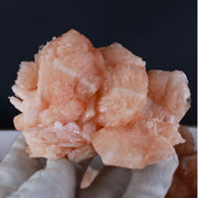 Natural Orange Stilbite with Heulandite Crystal Lot – 11 PCS – Mineral Specimens from India