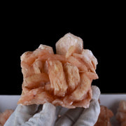 Natural Orange Stilbite with Heulandite Crystal Lot – 11 PCS – Mineral Specimens from India