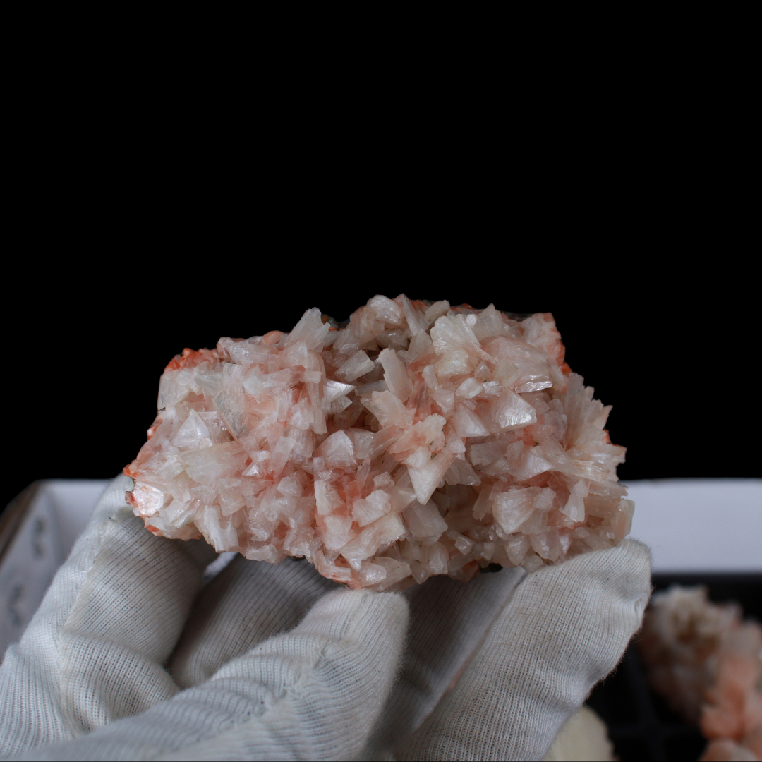 Natural Orange Stilbite with Heulandite Crystal Lot – 18 PCS – Mineral Specimens from India