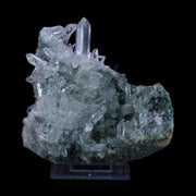 Himaliyan Quartz Cluster Prismatic on Present Dark Matrix 10x5x4cm 999g Natural Mineral Specimen